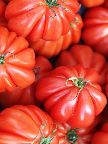 erstes zustzliches Bild des Artikels "Tomate Ochsenherz" aus der Kategorie "Gemsepflanzen"