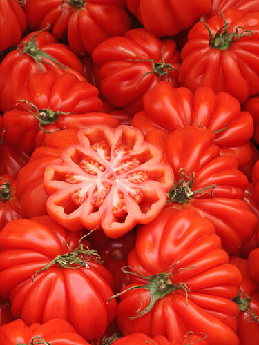 Zweites Zusatzbild des Artikels "Tomate Ochsenherz (unveredelt)" (Bildbeschreibung ist in Arbeit