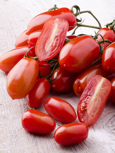 Gemsepflanzen - Tomate Andenhrnchen Bild 2