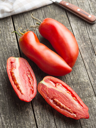 Zweites Zusatzbild des Artikels "Tomate Andenh�rnchen (unveredelt)" (Bildbeschreibung ist in Arbeit