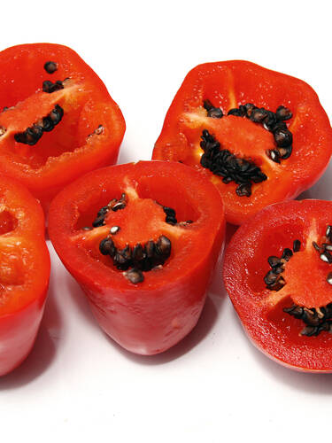 erstes zustzliches Bild des Artikels "  Baum-Chili" aus der Kategorie "Kbelpflanze"