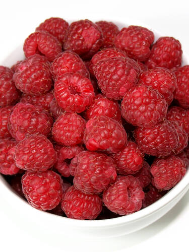 Drittes Zusatzbild des Artikels "Sommerhimbeere Rubaca" (Bildbeschreibung ist in Arbeit