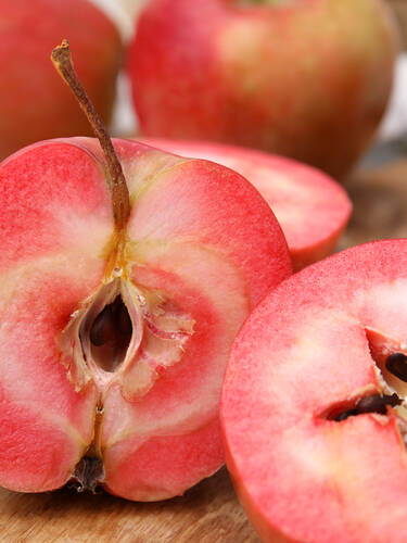 erstes zustzliches Bild des Artikels " Sulenapfel Tigawa"