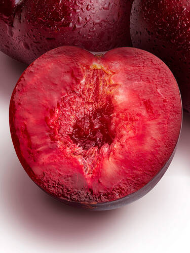 erstes zustzliches Bild des Artikels "Cherrykose" aus der Kategorie "Obstbaum"