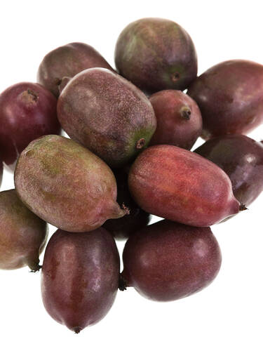 erstes zustzliches Bild des Artikels "Minikiwi Kiwi Berry Red Jumbo" aus der Kategorie "Obstgehlze"