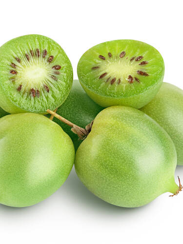 Kiwi Vitikiwi Bild 2