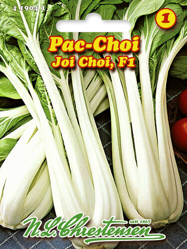Hauptbild des Artikels "Pac Choi Joi Choi, F1" aus der Kategorie "Kohlsamen"