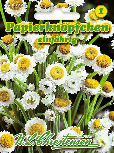 Hauptbild des Artikels "Papierknpfchen"