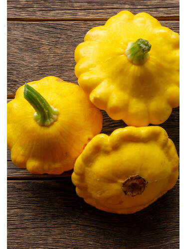 Hauptbild des Artikels "Patisson Sunburst, F1" (Bildbeschreibung ist in Arbeit)