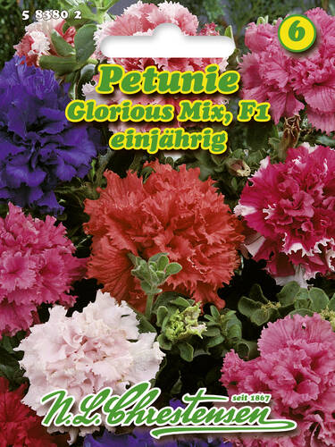 Hauptbild des Artikels "Petunie Glorious Mix F1" aus der Kategorie "Samen"