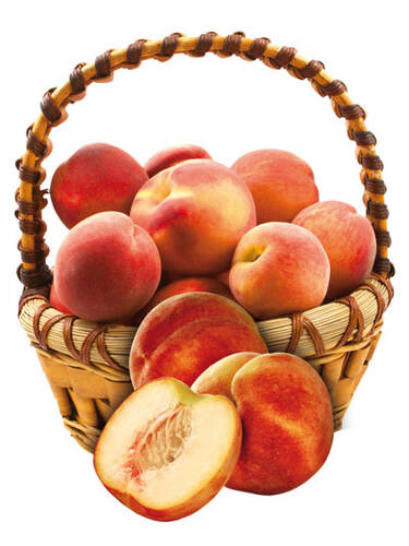 Pfirsich Revita® » Pfirsichbaum Revita® kaufen | Chrestensen