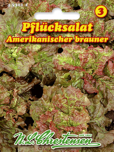 Hauptbild des Artikels "Pflcksalat Amerikanischer brauner, 50g" aus der Kategorie "Salatsamen"