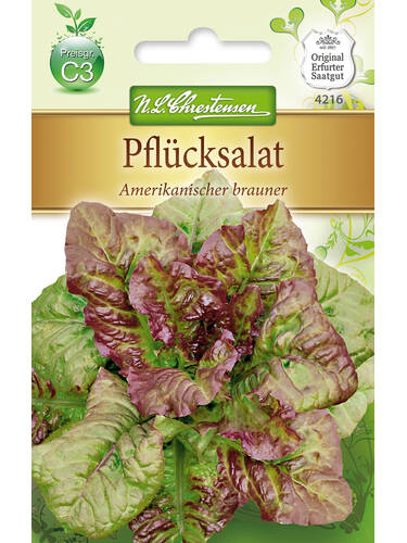 Hauptbild des Artikels "Pflcksalat Amerikanischer brauner" aus der Kategorie "Salatsamen"