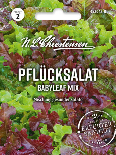 Hauptbild des Artikels "Pflcksalat Babyleaf Mix" (Bildbeschreibung ist in Arbeit)