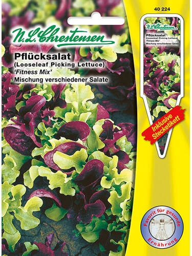 Hauptbild des Artikels "Pflcksalat Fitness-Mix" aus der Kategorie "Salatsamen"