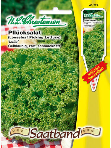 Hauptbild des Artikels "Pflcksalat Lollo" aus der Kategorie "Samen"