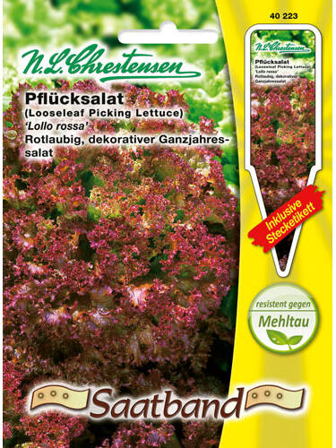 Hauptbild des Artikels "Pflcksalat Lollo rossa" aus der Kategorie "Samen"