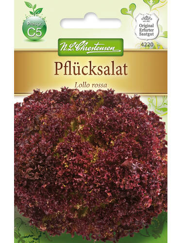 Hauptbild des Artikels "Pflcksalat Lollo rossa" aus der Kategorie "Samen"
