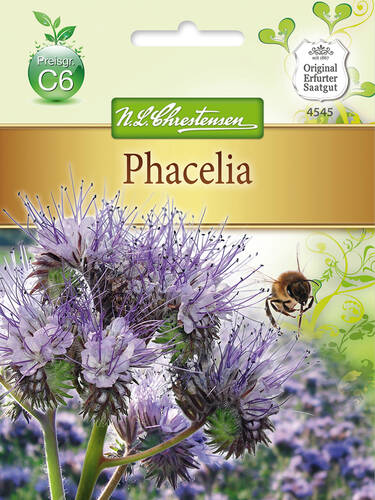 Hauptbild des Artikels "Phacelia" aus der Kategorie "bienenfreundliche"