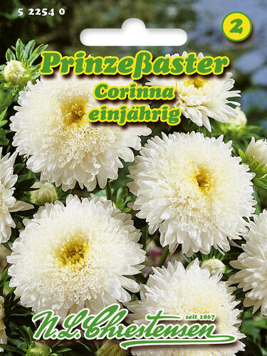 Hauptbild des Artikels "Prinzessaster Corinna" aus der Kategorie "Samen"