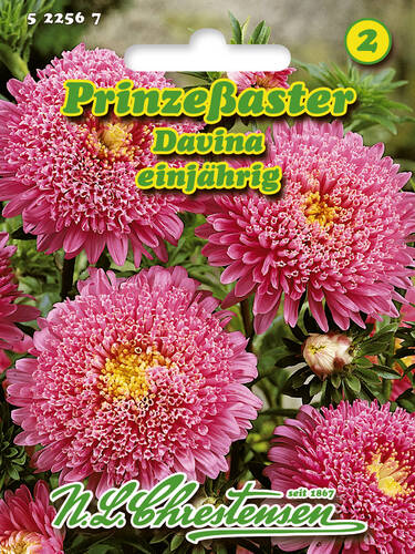 Hauptbild des Artikels "Prinzessaster Davina" aus der Kategorie "Samen"