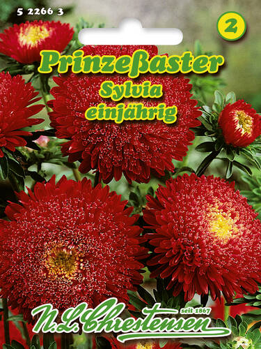 Hauptbild des Artikels "Prinzessaster Sylvia" aus der Kategorie "Samen"