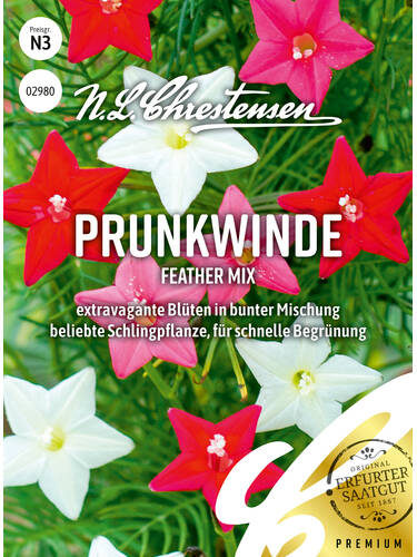 Samen - Prunkwinde Feather Mix
