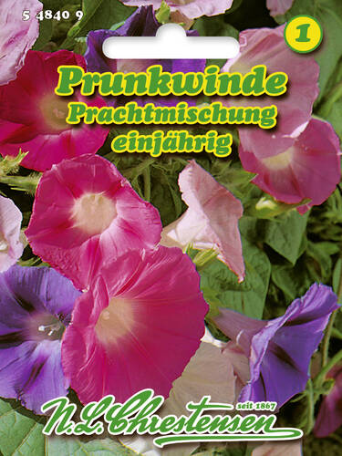 Samen - Prunkwinde Prachtmischung (Portion)