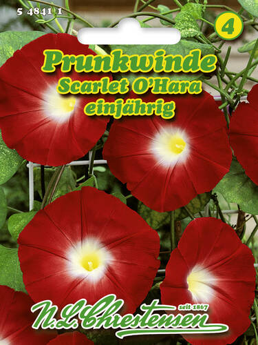 Hauptbild des Artikels "Prunkwinde Scarlet O'Hara" aus der Kategorie "Samen"