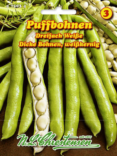 Samen - Puffbohne Dreifach Weie