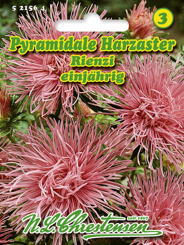 Hauptbild des Artikels "Pyramidale Harzaster Rienzi" aus der Kategorie "Samen"