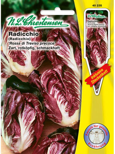 Hauptbild des Artikels "Radicchio Rossa di Treviso Precoce" aus der Kategorie "Salatsamen"