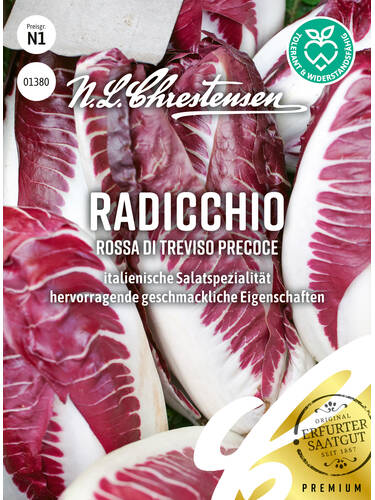 Hauptbild des Artikels "Radicchio Rossa di Treviso precoce" aus der Kategorie "Salatsamen"