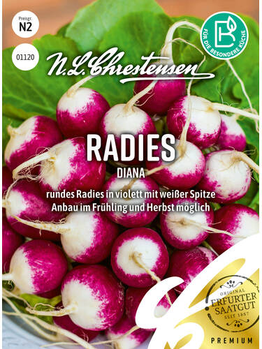 Radies Diana