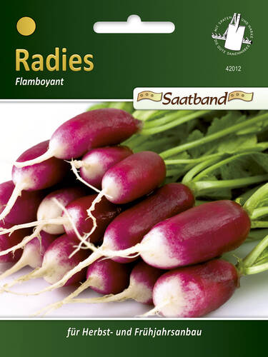 Hauptbild des Artikels "Radies Flamboyant 3 " aus der Kategorie "Samen"