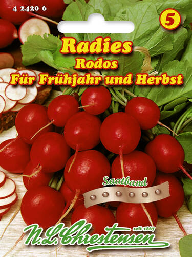 Hauptbild des Artikels "Radies Rodos" aus der Kategorie "Samen"