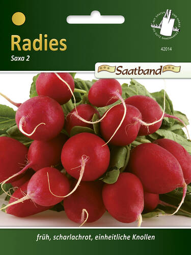Hauptbild des Artikels "Radies Saxa 2" aus der Kategorie "Samen"
