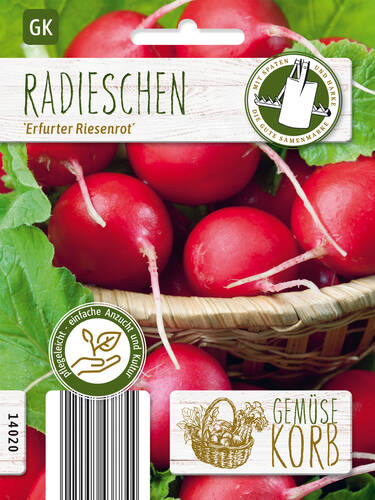 Hauptbild des Artikels "Radieschen Erfurter Riesenrot" (Bildbeschreibung ist in Arbeit)