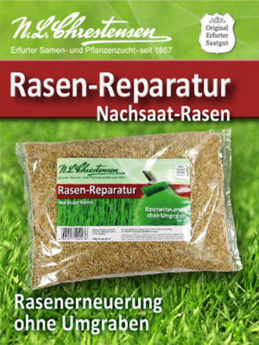 Samen - Rasen-Reparatur, Nachsaat-Rasen