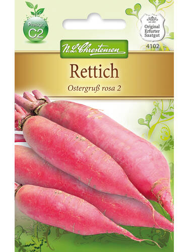 Rettich Ostergru rosa 2