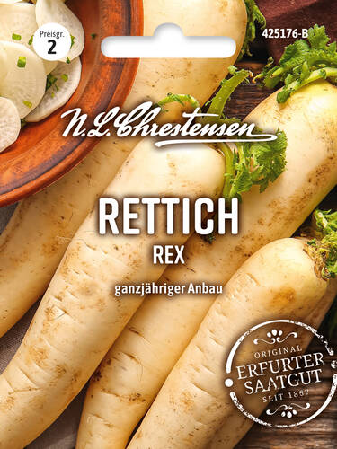 Hauptbild des Artikels "Rettich Rex" (Bildbeschreibung ist in Arbeit)