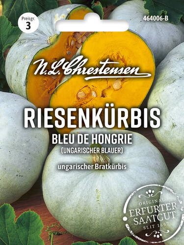 Hauptbild des Artikels "Riesenkrbis Bleu de Hongrie (Ungarischer Blauer)" (Bildbeschreibung ist in Arbeit)