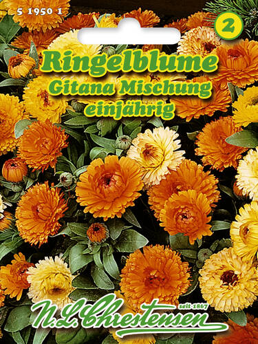 Hauptbild des Artikels "Ringelblume Gitana Mischung" aus der Kategorie "bienenfreundliche"