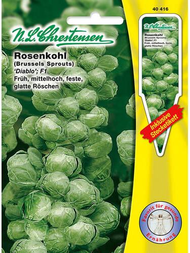 Hauptbild des Artikels "Rosenkohl Diablo F1" aus der Kategorie "Kohlsamen"