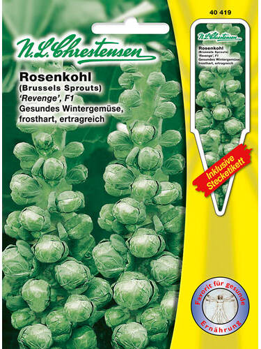 Hauptbild des Artikels "Rosenkohl Revenge F1" aus der Kategorie "Kohlsamen"