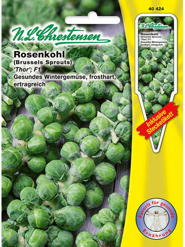Hauptbild des Artikels "Rosenkohl Thor F1" aus der Kategorie "Kohlsamen"
