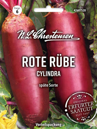 Hauptbild des Artikels "Rote Rbe Cylindra" (Bildbeschreibung ist in Arbeit)
