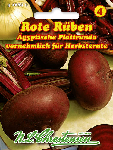 Rote Rben gyptische Plattrunde