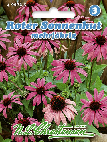 Samen - Roter Sonnenhut