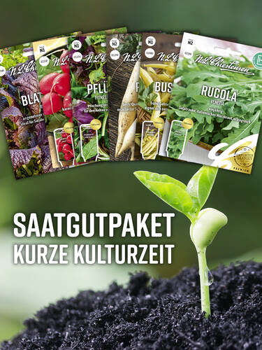 Saatgutpaket Kurze Kulturzeit | Samen kaufen  F1, Samenfest & Co. |  Gartenversandhaus.de